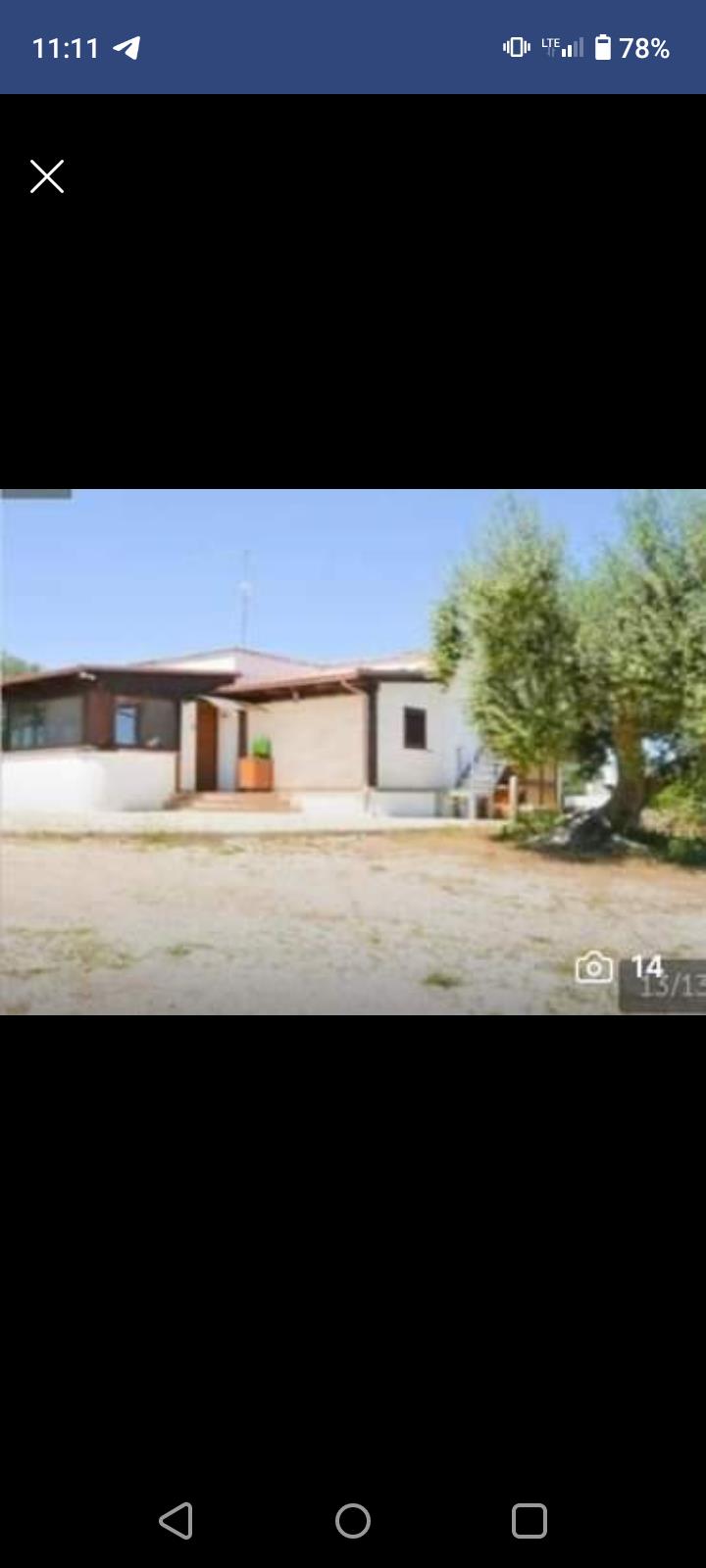 immagine annuncio 4 di 7