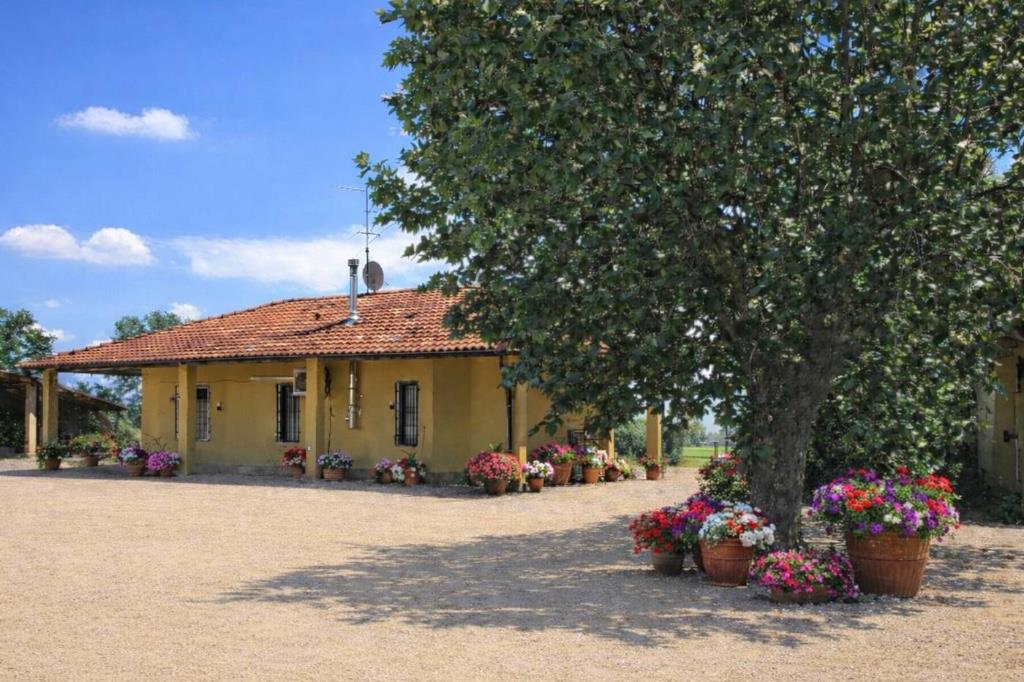 immagine annuncio 1 di 7