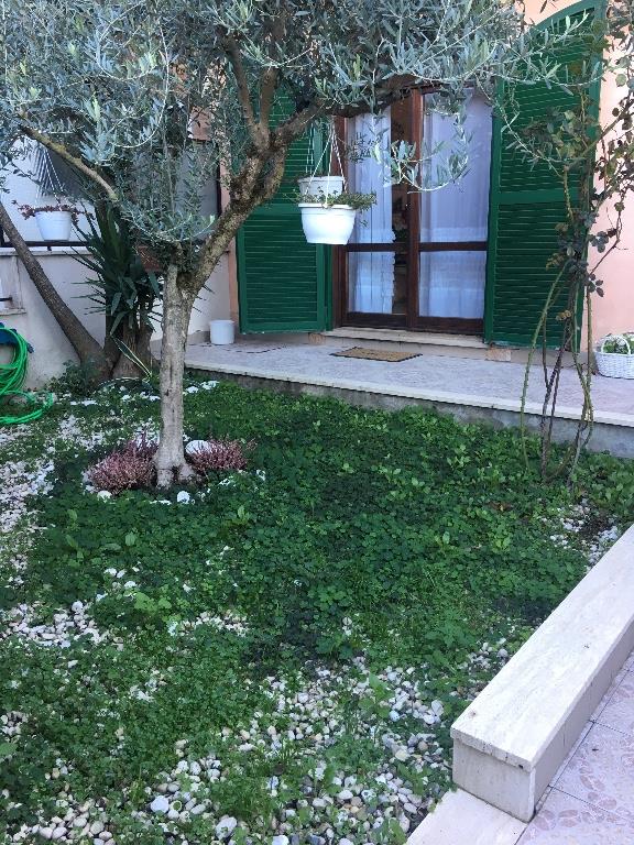 immagine annuncio 5 di 7