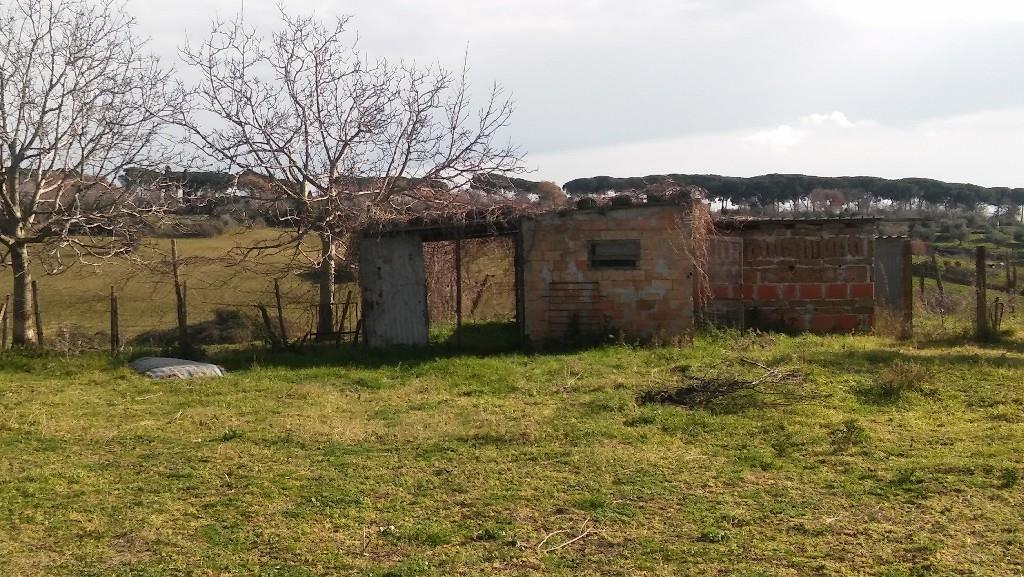 immagine annuncio 5 di 7