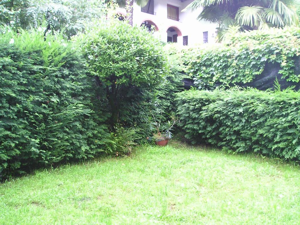 immagine annuncio 3 di 7