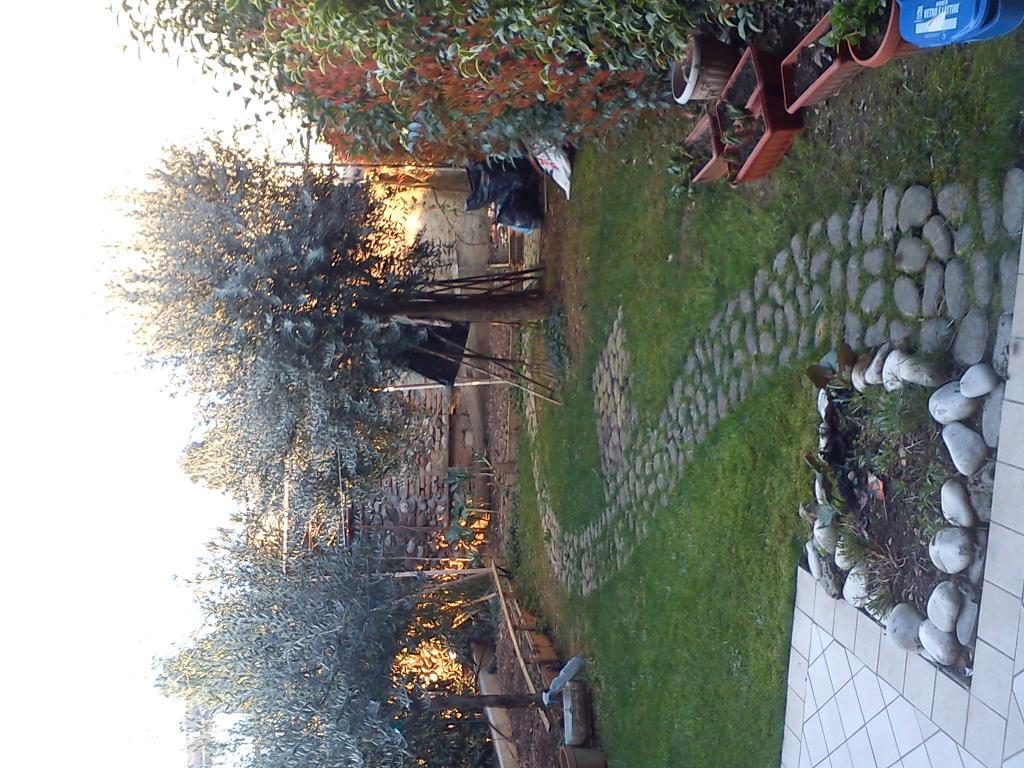 immagine annuncio 2 di 7