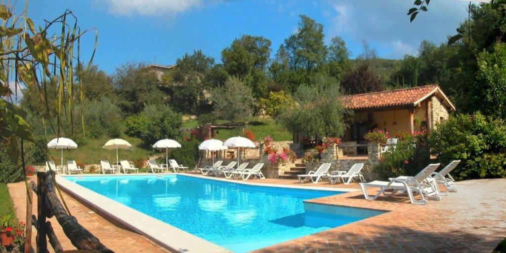 immagine annuncio 2 di 7