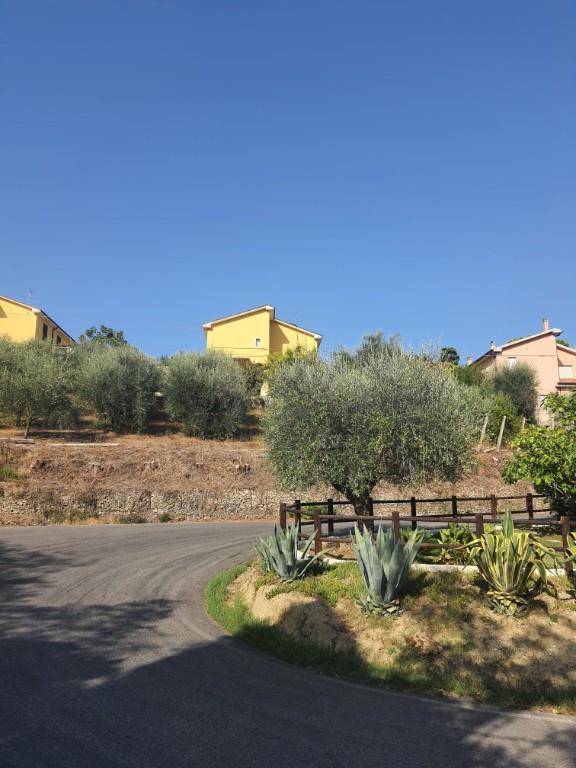 immagine annuncio 2 di 7