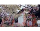 Foto - Casa indipendente in Vendita a Latina - Borgo Grappa