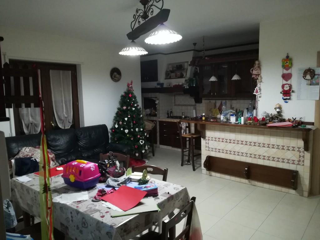 immagine annuncio 5 di 6