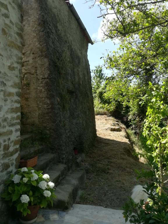 immagine annuncio 2 di 7