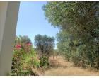 Foto - Villa in Vendita a San Marzano di San Giuseppe (Taranto) Foto - Villa in Vendita a San Marzano di San Giuseppe (Taranto)