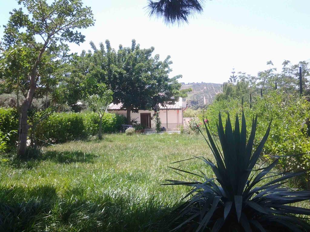 immagine annuncio 3 di 7