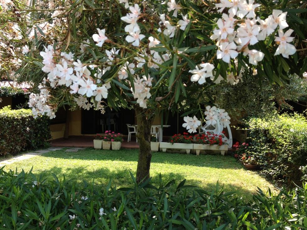 immagine annuncio 6 di 7