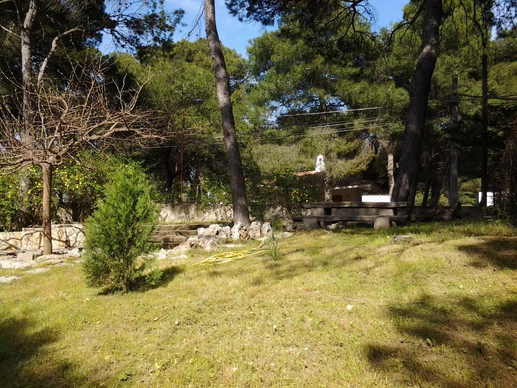 immagine annuncio 5 di 7