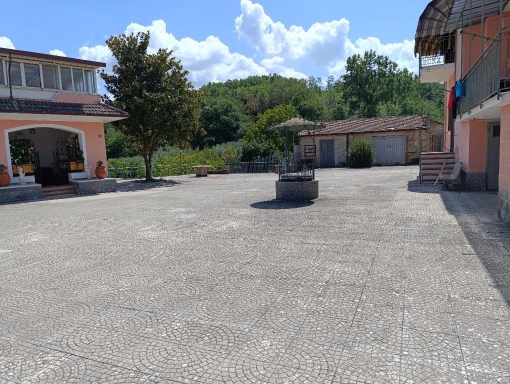 immagine annuncio 3 di 7