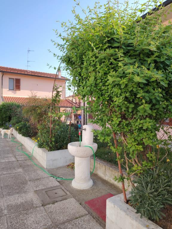 immagine annuncio 4 di 7