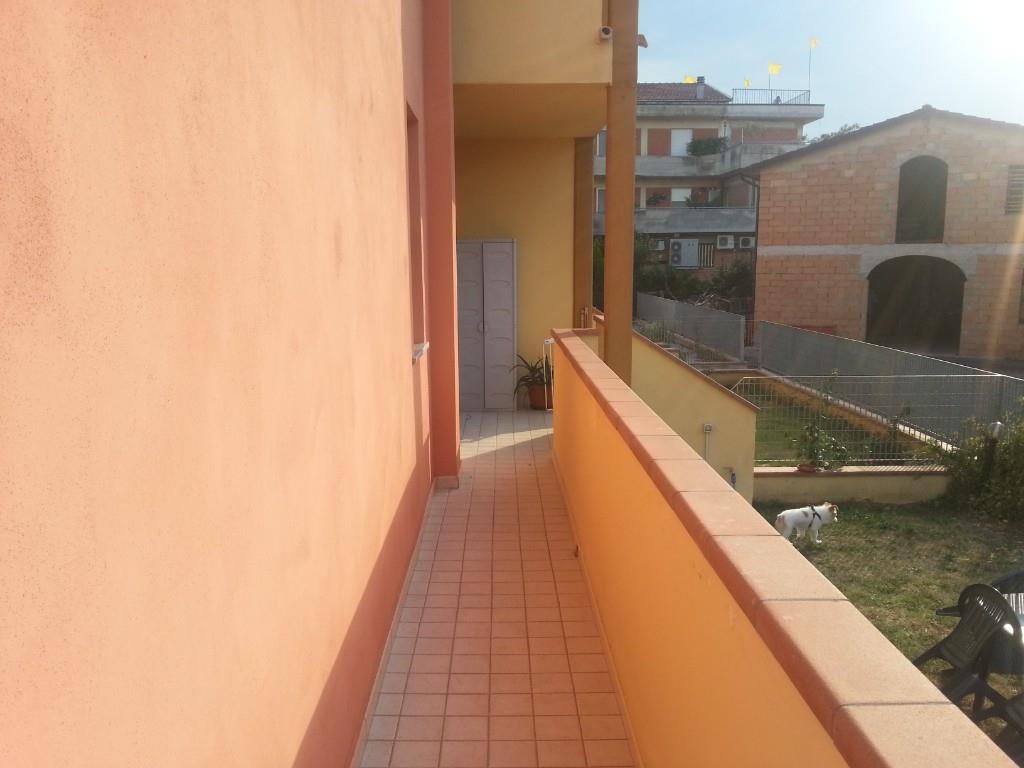immagine annuncio 3 di 7