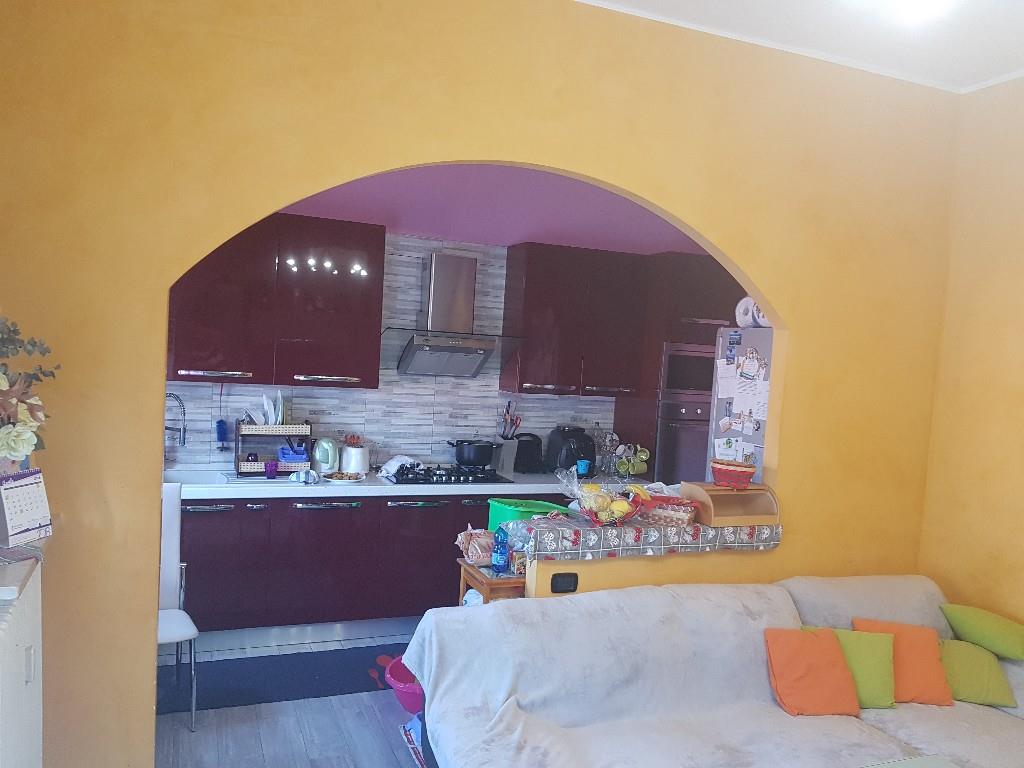 immagine annuncio 1 di 7