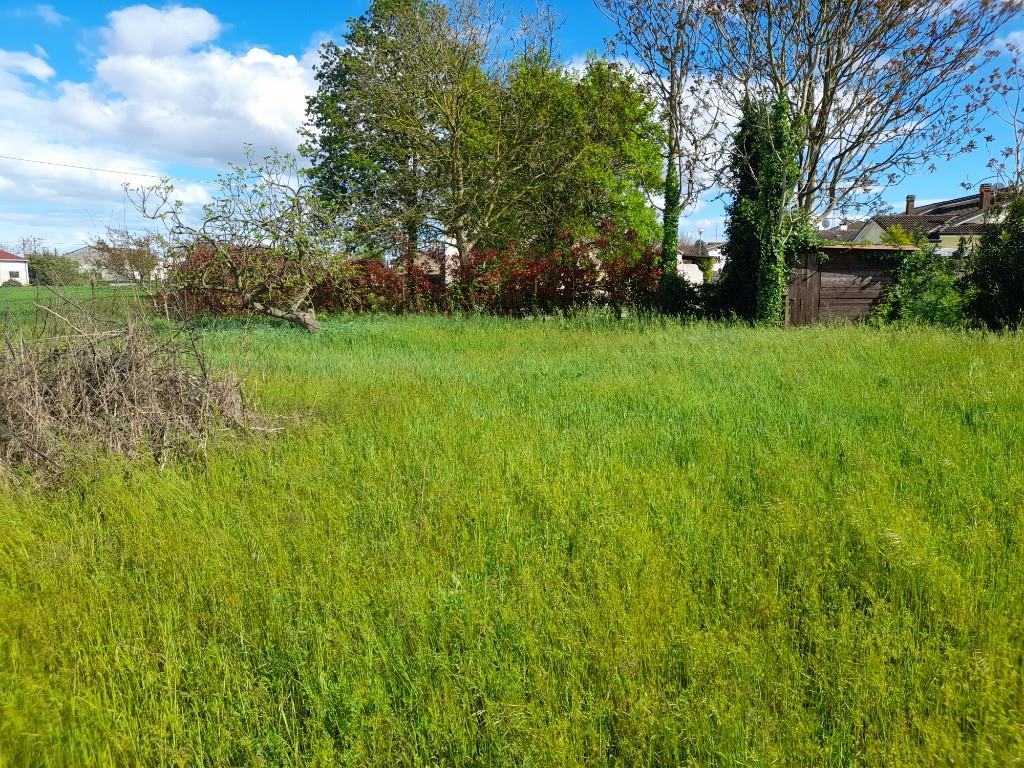 immagine annuncio 5 di 7