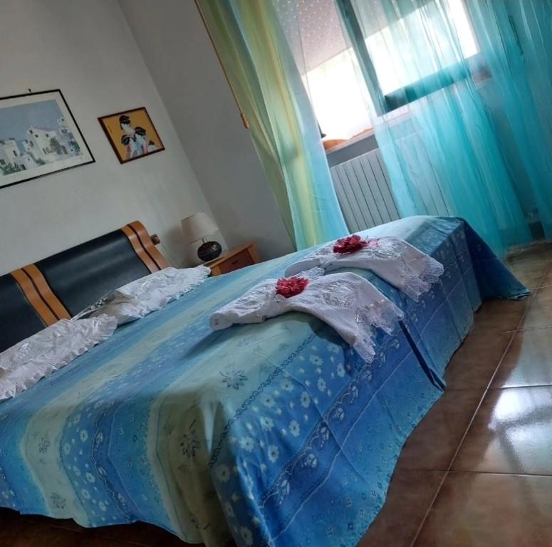 immagine annuncio 3 di 6