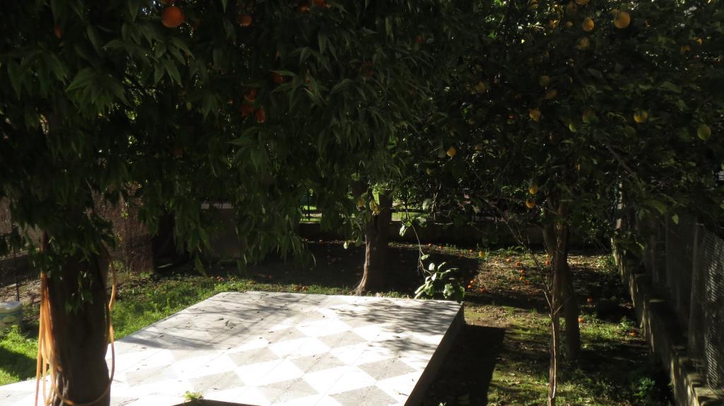 immagine annuncio 6 di 7