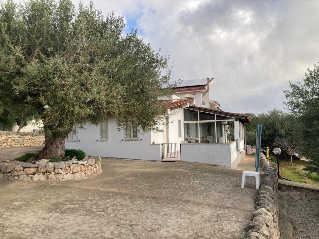 immagine annuncio 1 di 6