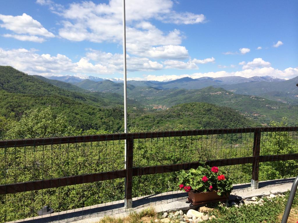 immagine annuncio 6 di 7