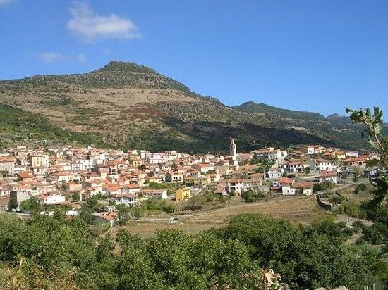 immagine annuncio 1 di 7