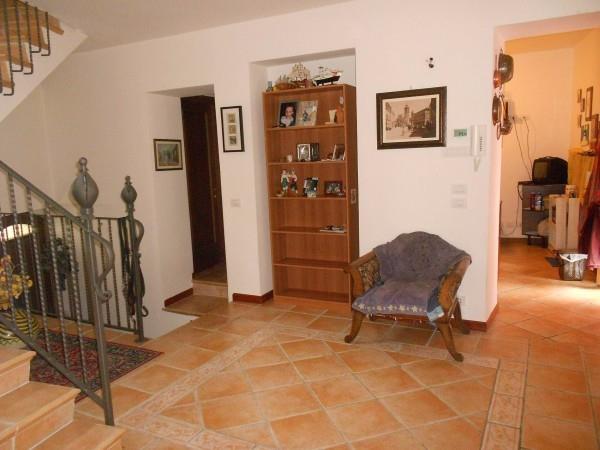 immagine annuncio 3 di 7