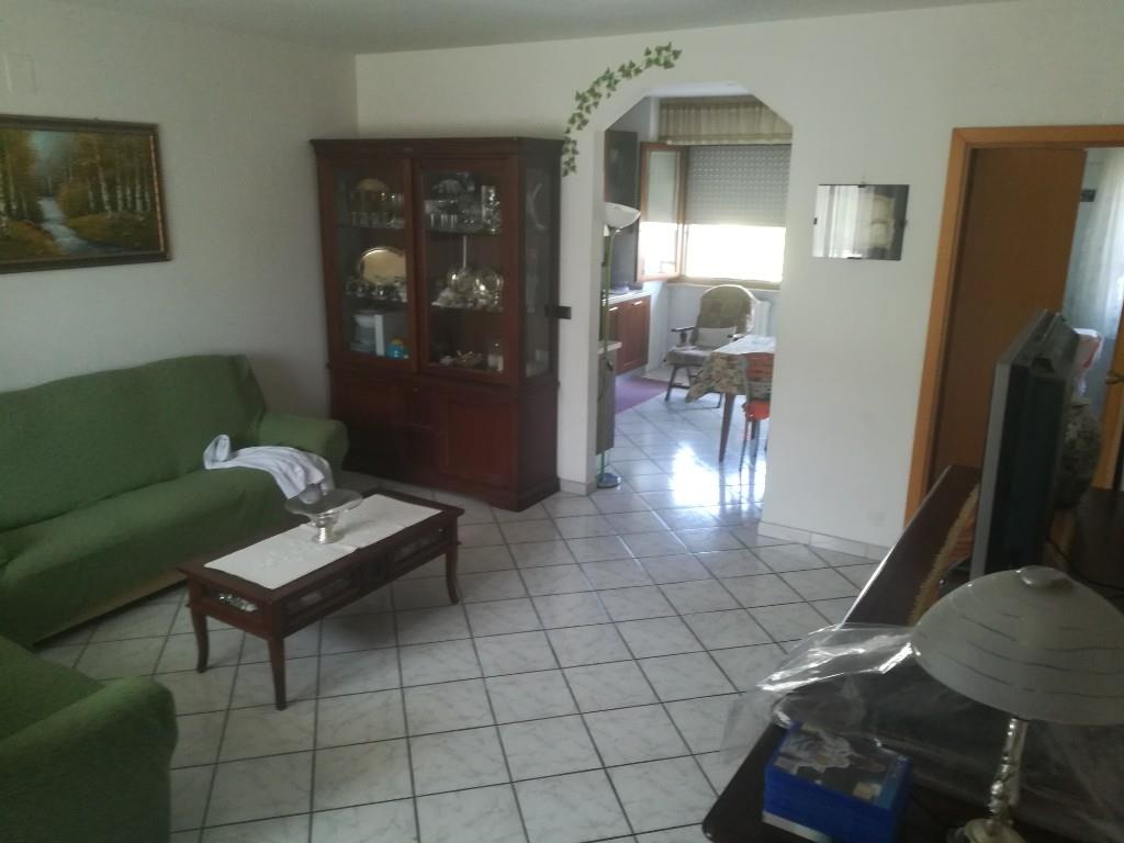 immagine annuncio 1 di 7