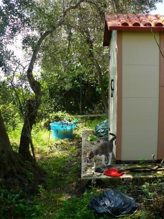 immagine annuncio 6 di 7