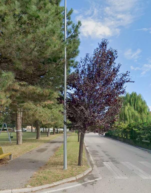 immagine annuncio 1 di 2