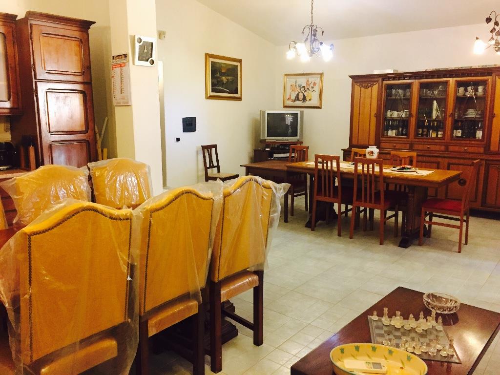immagine annuncio 2 di 7