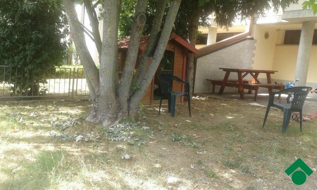 immagine annuncio 5 di 7