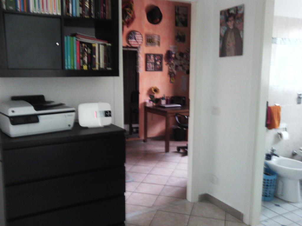 immagine annuncio 2 di 7