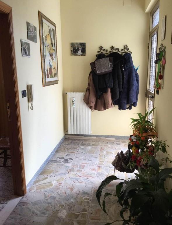 immagine annuncio 2 di 7