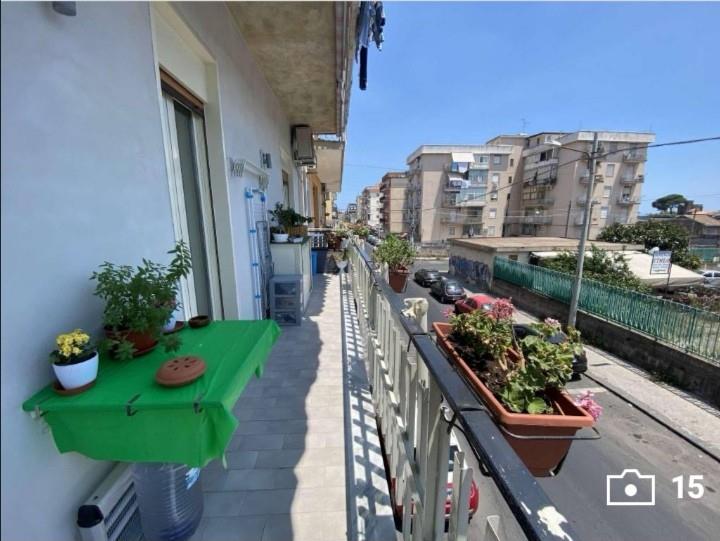 immagine annuncio 5 di 7