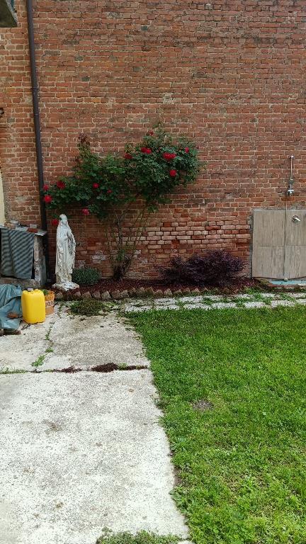 immagine annuncio 3 di 7