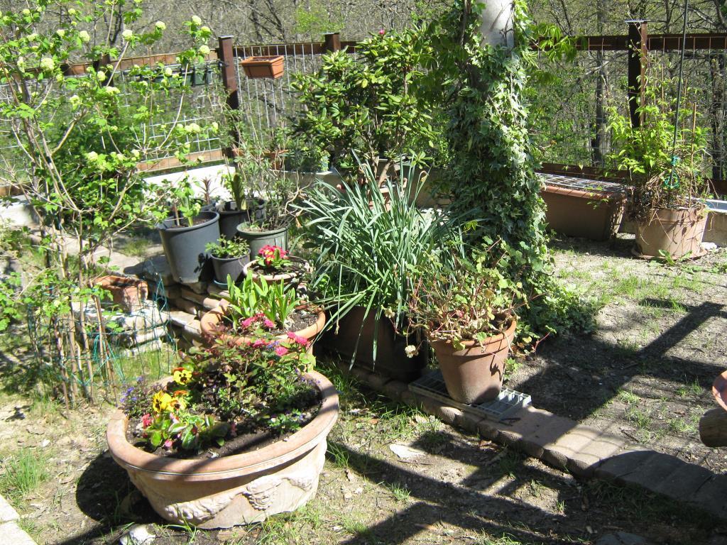 immagine annuncio 2 di 3