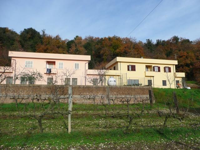 immagine annuncio 6 di 7