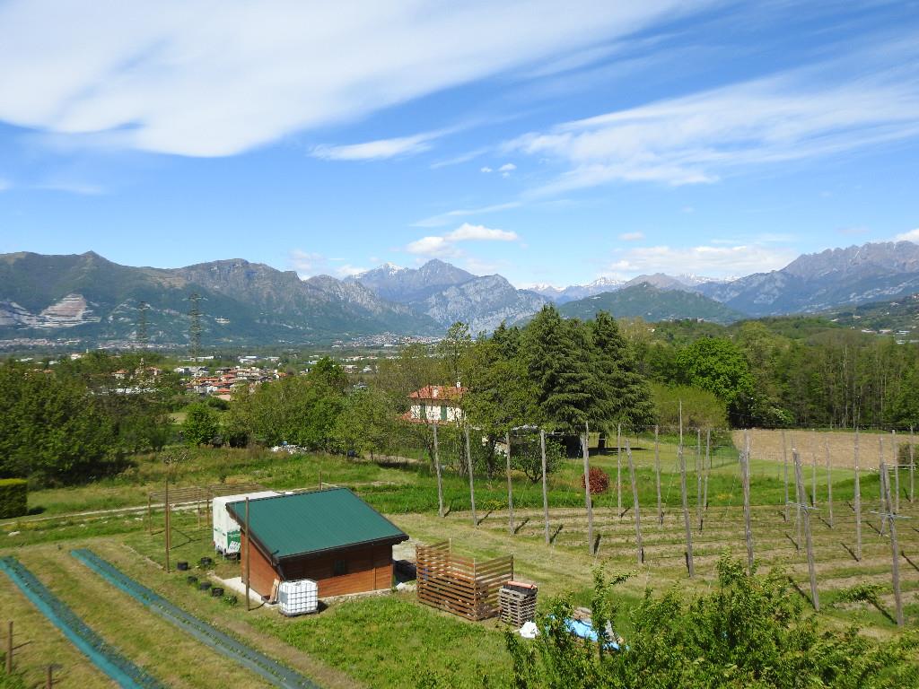 immagine annuncio 3 di 7