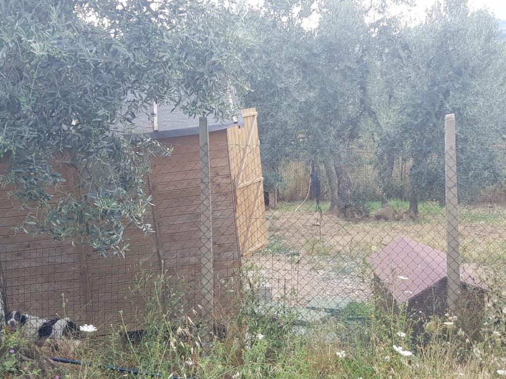 immagine annuncio 6 di 7