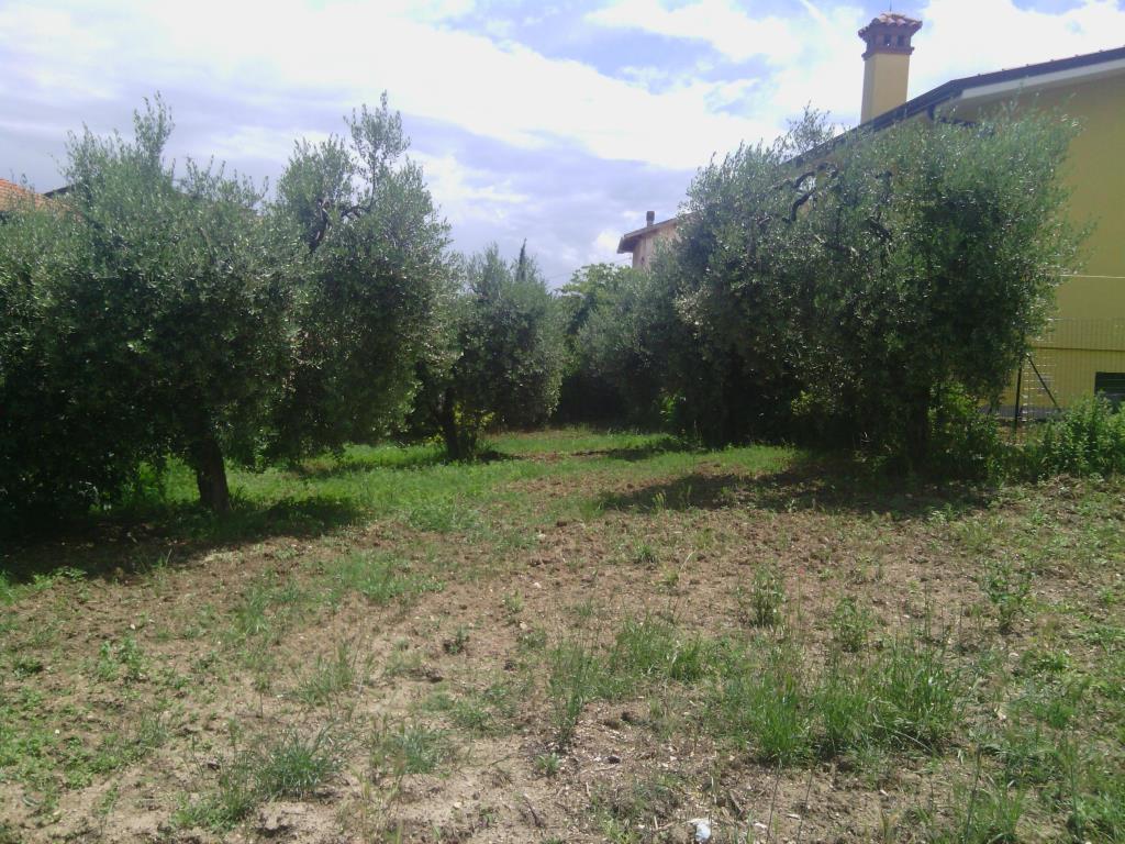 immagine annuncio 1 di 2