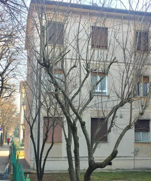 immagine annuncio 1 di 7