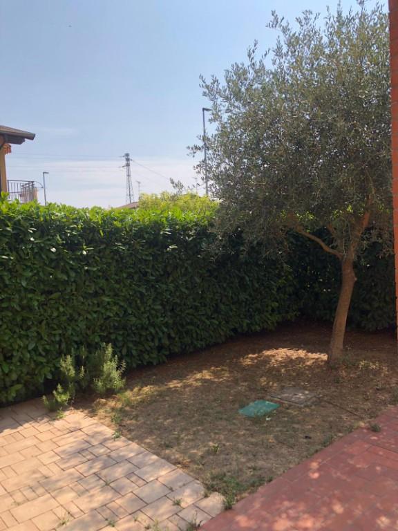 immagine annuncio 2 di 7