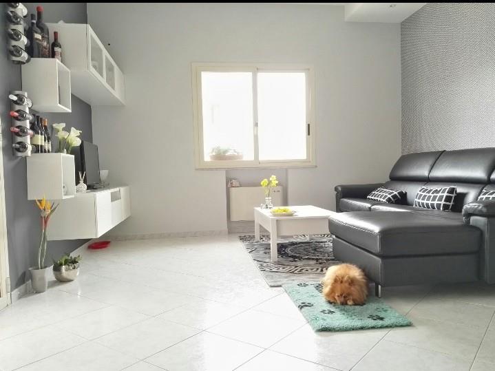immagine annuncio 5 di 7