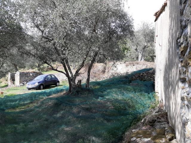 immagine annuncio 3 di 7