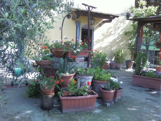 immagine annuncio 3 di 7