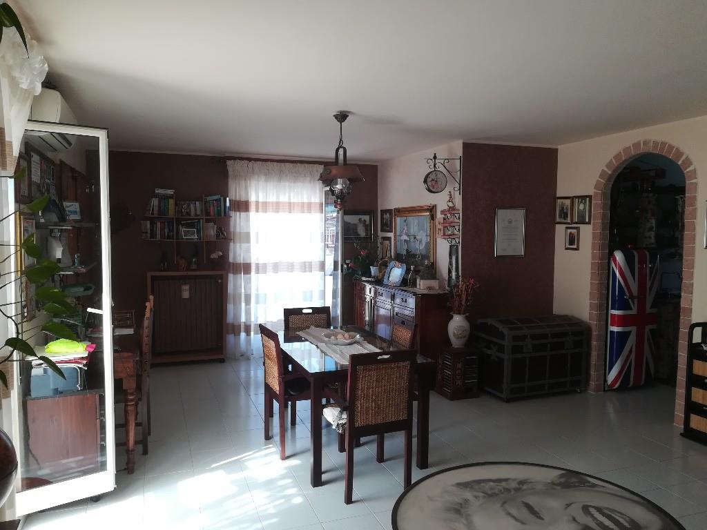immagine annuncio 1 di 7