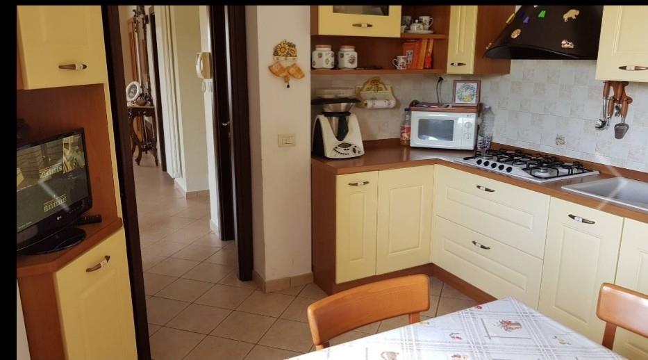 immagine annuncio 1 di 7