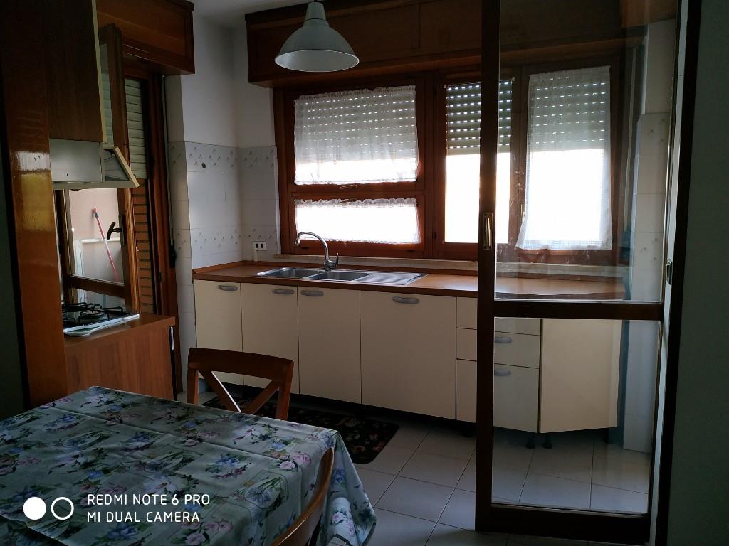 immagine annuncio 3 di 7