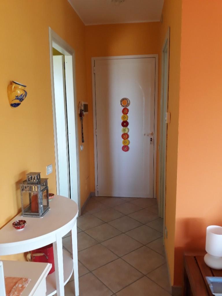 immagine annuncio 2 di 7
