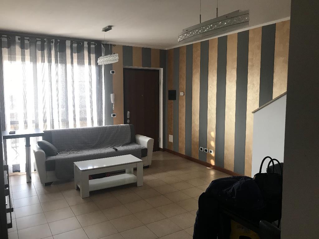 immagine annuncio 2 di 7